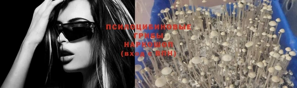 дживик Алексин