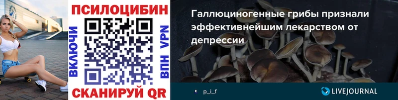Псилоцибиновые грибы Magic Shrooms  Волжский 