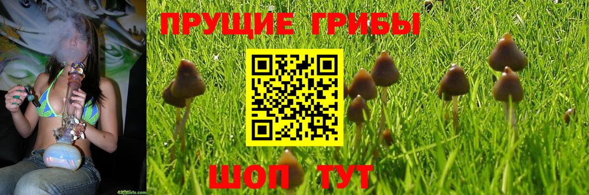 Галлюциногенные грибы MAGIC MUSHROOMS Волжский
